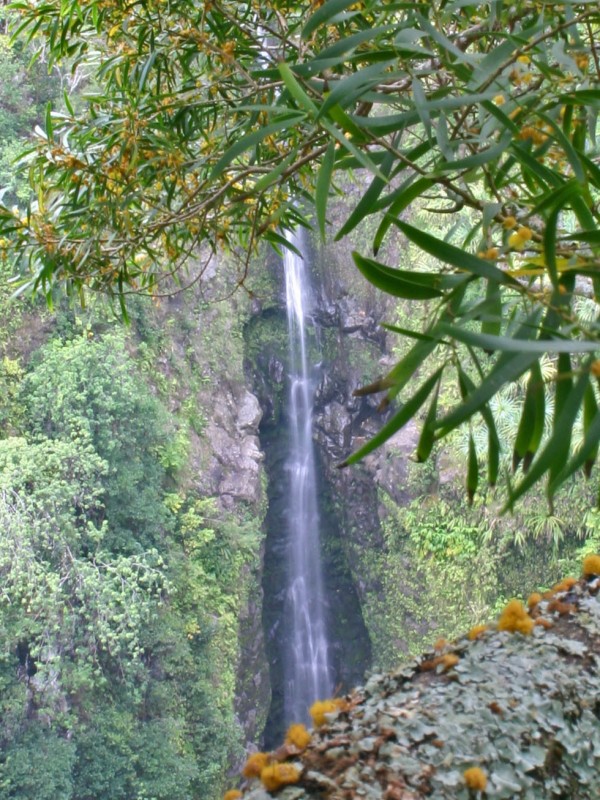 Lower Puohokamoa Falls