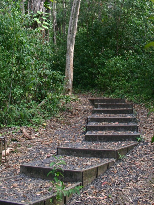 Waikamoi Nature Trail