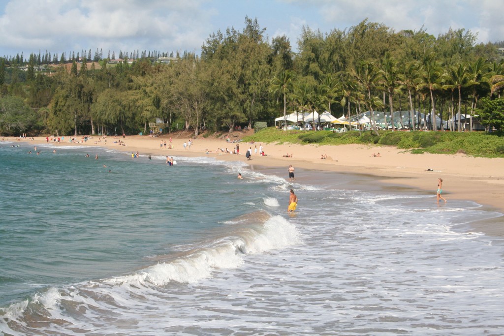 D.T. Fleming Beach Park