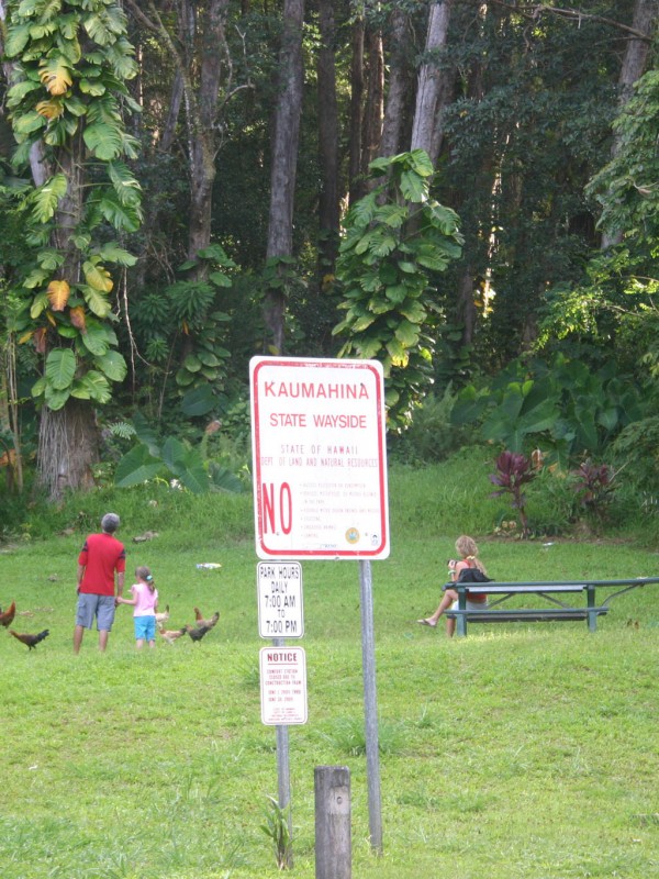 Kaumahina State Wayside