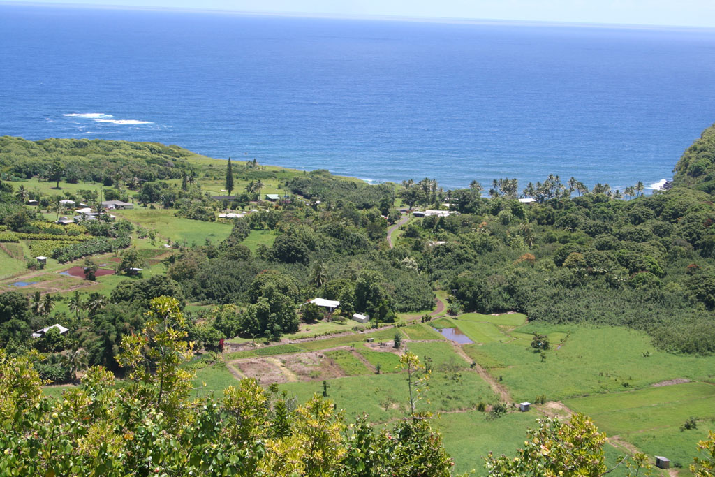 Wilua