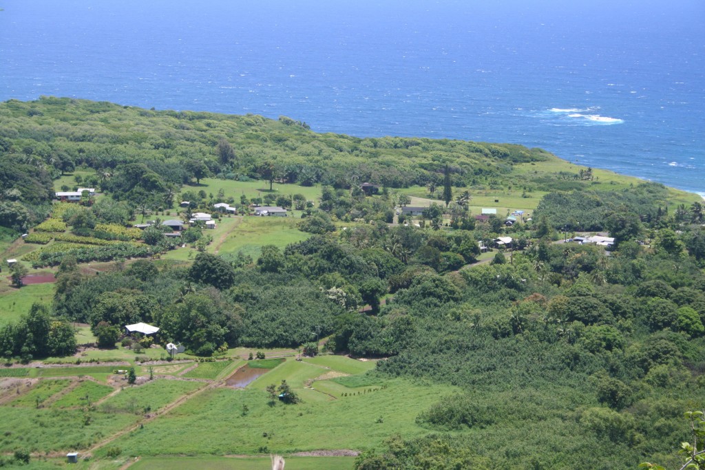 Wailua from the Hana Hwy above
