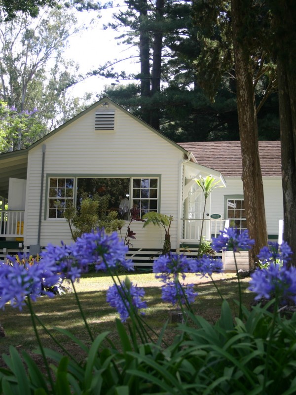 Tedeschi Winery aka Maui Wine tasting room