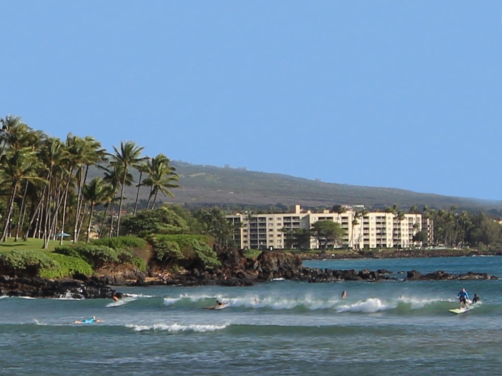 Cove Park surfers