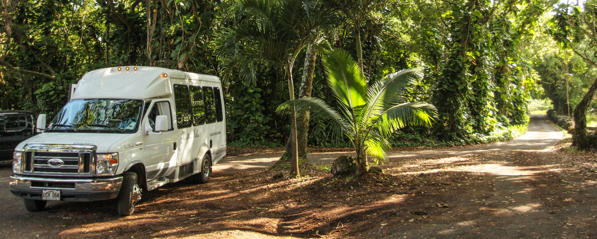 van-under-trees