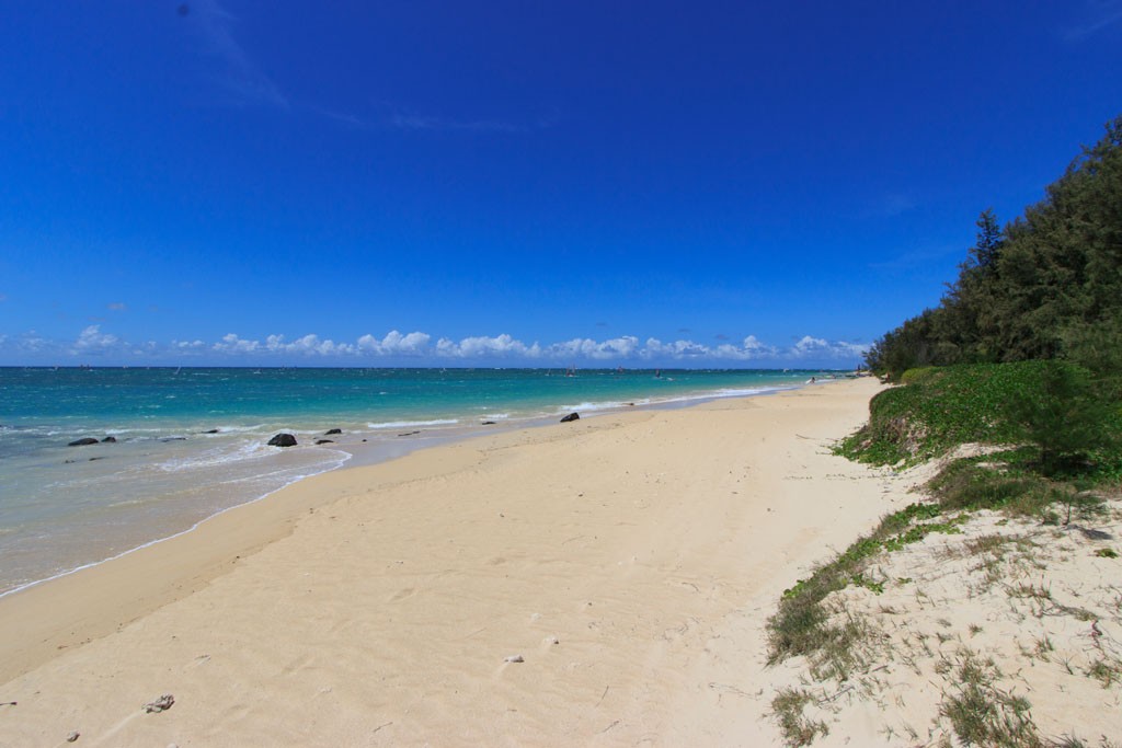 Kanaha Beach near lifeguard tower facing East