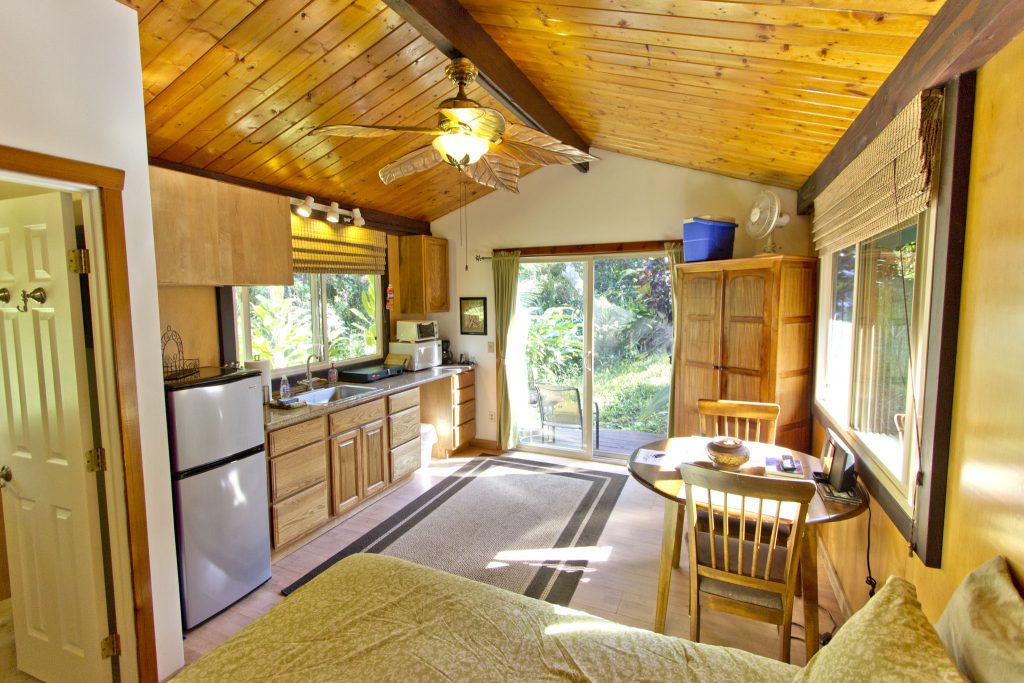 Interior toward kitchenette and entry